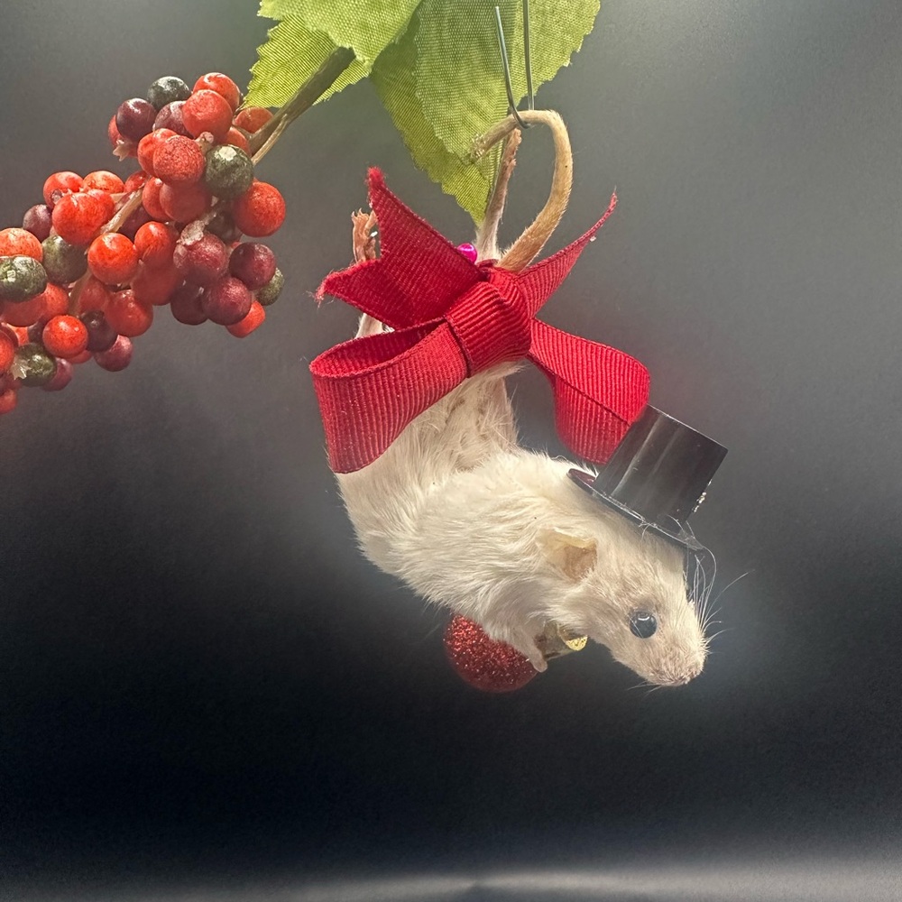 Charming Real White Mouse Ornament with Red Bow OOAK Taxidermy